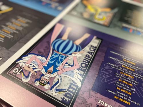 Pochette de DVD One piece